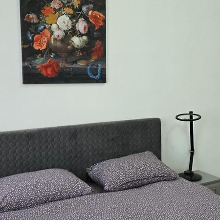 Casa Grande Apartment Fagaras Exterior photo